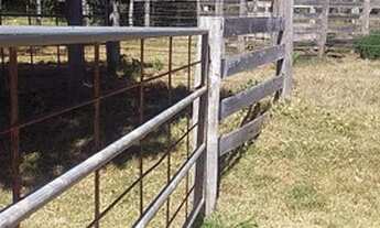 Imagem 6: Fazenda para venda com 98 alqueires em Barra dos Garças -Mt