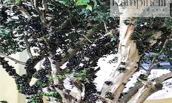 Imagem 5: MARAVILHOSA CASA NA CITY ROMANA COM UM BELO QUINTAL