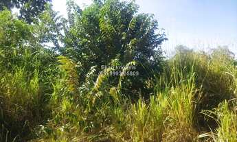Imagem 7: Terreno à venda em zona rural em Santo Antônio de Leverger-MT