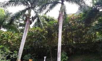Imagem 7: MARAVILHOSA CASA CERCADA DE VERDE COM 03 ANDARES, ESTRADA DAS CANOAS, BAIRRO SÃO CONRADO