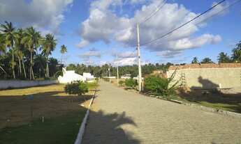 Imagem 2: Loteamento fechado em Porto de Pedras, próximo a praia do patacho