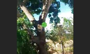 Imagem 7: CASA - MELO VIANA - 2 QUARTOS - PARCELA A METADE