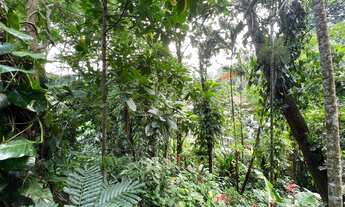 Imagem 5: Apartamento para venda possui 690 metros quadrados com 5 quartos