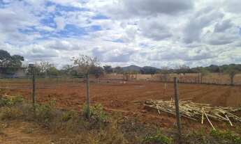 Imagem: Chácara 100 plana em Serra Azul