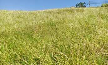 Imagem: Lote no Iguaçu 2.000 m2 com vista linda