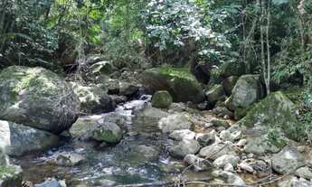 Imagem 7: Terreno 10.000m2 em Nova Iguaçu Tíngua - Sitio a Venda