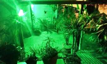 Imagem 4: Casa Casa com 3 dormitórios