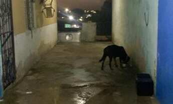 Imagem 2: Casa, 3 kitnets, Monte das Oliveiras