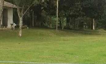 Imagem 4: Terreno 38.000m2. BR 174, kM 5. Manaus - Amazonas