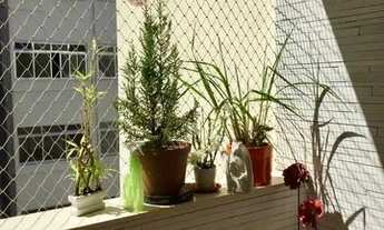 Imagem 2: Quot;Higienópolis, localizado na região central de São Paulo, é um bairro nobre, repleto