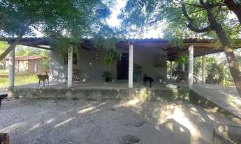 Imagem 5: Vendo Sítio Chácara com venda por R$250.000