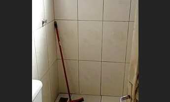 Imagem 5: Vendo uma jardim santa Helena