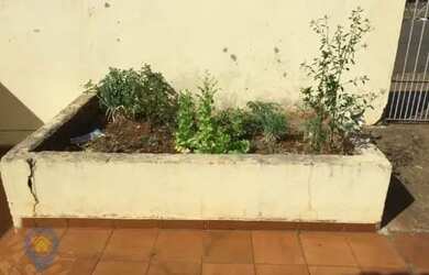 Imagem 5: Londrina - Casa Padrão - Maria Lúcia