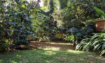 Imagem 5: Casa no meio do verde