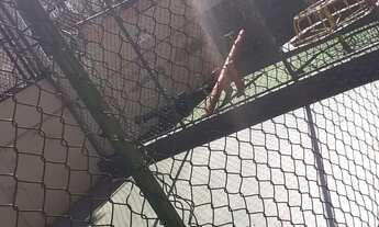 Imagem 2: Apartamento para alugar Cotia SP