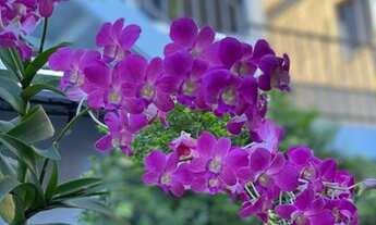 Imagem 2: Kitnet próximo à avenida t2