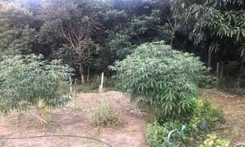 Imagem 3: Casa Casa com 2 dormitórios