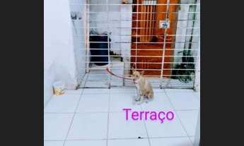 Imagem 3: Casa pra alugar e vender