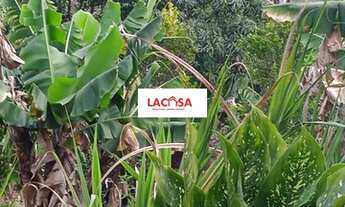 Imagem 4: Chácara na Zona Leste