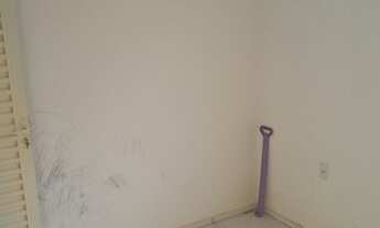 Imagem 8: VENDO CASA EM NOVO HORIZONTE