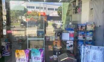 Imagem 5: Passo ponto pet shop