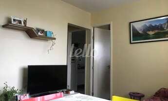 Imagem 4: São Paulo - Apartamento Padrão - Cambuci