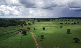 Imagem: Fazenda para Venda em Centro Inocência-MS