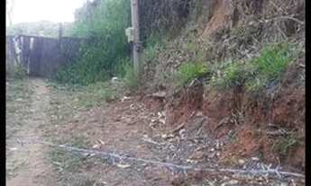 Imagem 2: Casa no bairro Moinho de Vento