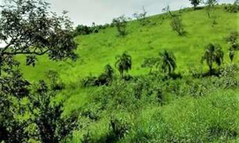 Imagem 3: Terreno para venda tem 1000 metros quadrados em Rio Acima - Mairiporã - SP