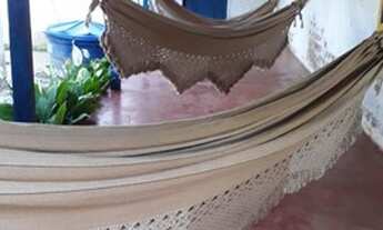 Imagem 2: Aluga-se uma chácara