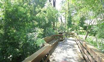 Imagem 7: Apartamento em Três Figueiras