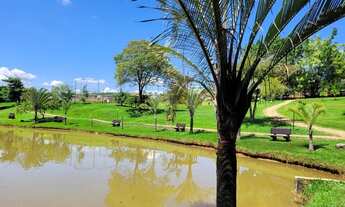 Imagem 2: Reserva Ipanema - fase 2