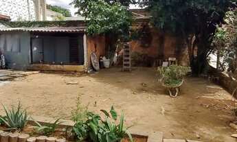 Imagem 3: Arniqueira: Lote 289 m2, planinho/semi murado, colado P.Way ( QUIT.TERRACAP) Quem vê comp