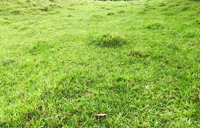 Imagem 6: EC - Vendo Terreno para Lazer e Tranquilidade, Venha Conferir !!