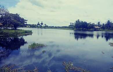 Imagem 7: Vendo Terreno Na Pindoretama Com 20 Hectares E Açude Dentro Vem Terreno Muito Bom. : Isaí