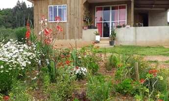 Imagem 6: Chácara a venda em Mandirituba-PR 12.075