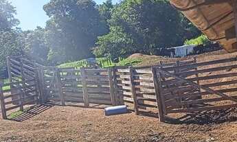 Imagem 3: Sítio à venda, 532400 m² por R$ 4.700.000,00 - Zona Rural - Caldazinha/GO