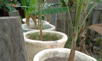 Imagem 6: Vendo casa com 2 terrenos ao lado