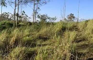 Imagem 7: TERRENOS COM 800m² E EXCELENTE TOPOGRAFIA