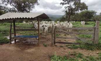 Imagem 5: Fazenda de 93 alqueires em Pirenópolis-GO