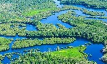 Imagem 4: Fazenda - Centro - Manaus