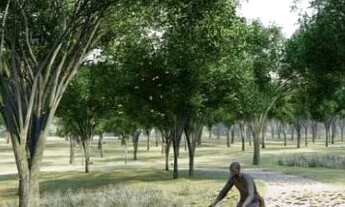 Imagem 7: Empresarial Toronto