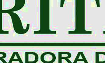 Imagem 7: QN 01 CONJUNTO 01 LOTE 06 APARTAMENTO 101