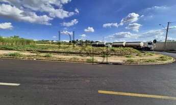 Imagem 7: Terreno para Venda em Ribeirão Preto, Reserva Macaúba