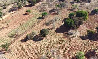 Imagem 3: Imóvel para venda tem 20000 metros quadrados em Zona Rural - Morada Nova de Minas - MG