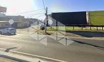 Imagem 4: Terreno à margem da BR 116