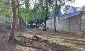 Imagem: TERRENO NO BOSQUE EM MEIO A NATUREZA, EM