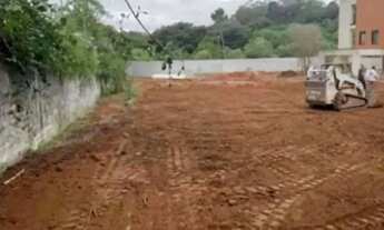 Imagem: Lote - 100 plano e aproveitável!