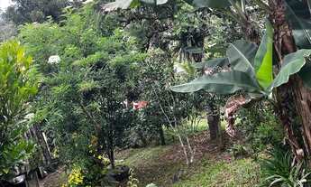 Imagem 6: Vende se chácara