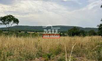 Imagem 4: Fazenda 154 alqueires (745,36 hectares) Colinas Do Sul - Go